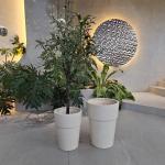 Customized Fiber Cement Pot With Hand Carved Finishing The Ultimate Plant Display Solution for sale
