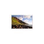 S290AJ1-LE2 Rev.C5 28.6 inch LCD Panel 1920*540 LCD Screen for sale