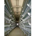 6 Tiers Q235 Battery Layer Hens Cage Chicken Breeding Cage for sale