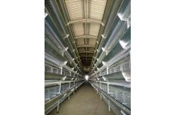 China 9 Tiers Q235 Layer Egg Chicken Cage Galvanized Chicken Breeding Cage supplier