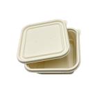 PLA Sheet Roll For Biodegradable Food Container 0.5mm Eco Friendly Disposable Food Containers for sale