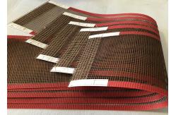China 4 ×4mm Chemical Plant Use Ptfe Conveyor Belt supplier