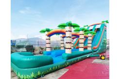 China Long Palm Tree Bounce House Pool Inflatable Water Slide supplier