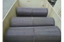 China Spiral Grid Ss304 Mesh Conveyor Belt For Dry Nuts Roasting Machine supplier