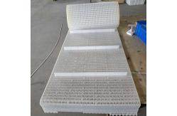 China                  Plastic Modular Conveyor Belts Modular Flush Grid Conveyor Belt              supplier