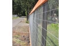 China Top selling goat fence, cattle fence Hinge Joint 6ft 8ft galvanized field fence supplier