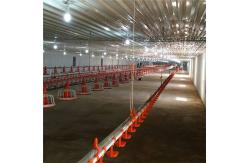 China Water Nipple Drinker Chicken Feeder supplier