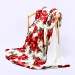 220gsm Queen Size Flannel Blanket for sale
