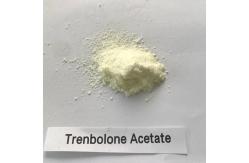 China 99% tren Acetate 100mg vial Vial Labels And Boxes supplier