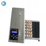 Laser Date Code Egg Marking Equipment One Sides Print Ink Jet Machine for sale