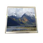 15.0 inch TX38D01VM1AAA 85PPI LCD Industrial Panel for HITACHI for sale