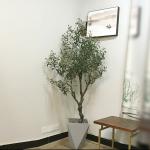 Artificial High Natural Custom Green Olive Tree Ornament Potted Plants Art Decor for sale