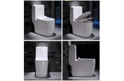 China Dual Flush Washdown Siphonic One Piece Toilet Models P Trap S Trap supplier