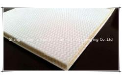 China Solid Weave Polyester Yarn 6mm Thickness Airslide Canvas supplier