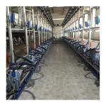 Dairy Cow Automatic Herringbone Milking Parlor Hot Dip Galvanized Frame for sale