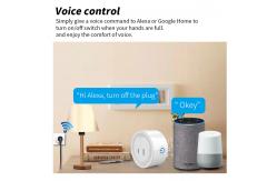 China 2 Pin Japan Plug WIFI Smart Socket Tuya Remote Electrical Outlet supplier