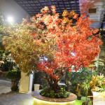 3m Artificial Maple Tree Real Looking No Color Fading Vibe Autumn Themed Plant for sale
