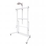 Carbon Steel Interactive Whiteboard Stand 100kg Load Capacity for sale