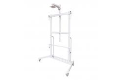 China Carbon Steel Interactive Whiteboard Stand 100kg Load Capacity supplier