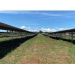 Ground Mounting Solar PV Plant Tracker System Galvanized Steel Brackets for sale