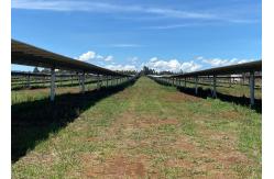 China Easy Install Single Axis Solar Tracker Solar Panel Ground Mount Bracket supplier
