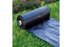 China Greenhouse Garden Weed Barrier Fabric Ground Cover UV Processed supplier
