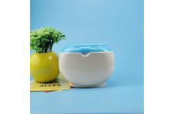 China 600g Capacity PP PET Laundry Box Laundry Powder Capsule Containers supplier