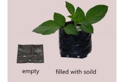 China Lightweight Basin 1gal PE Heavy Duty Poly Grow Bags With Hole supplier