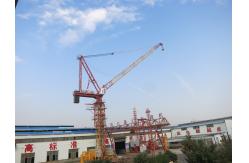 china Tower Crane exporter