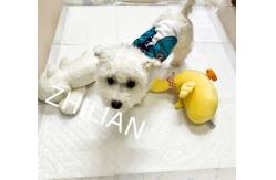 China Pet Training Underpad Making Machine 350 M / Min supplier