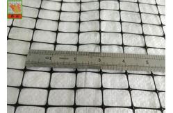 China PP Support Industrial Plastic Netting , Black Plastic Mesh Barrier Fence Netting supplier
