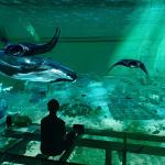 Factory Custom Indoor Led 5 Fold Screen Immersive 3d Holographic Theater Viewing for sale