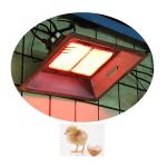 Portable Poultry Brooder Heater Infrared Outdoor Gas Heater THD2608 for sale