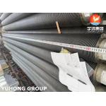 ASME SA312 TP347H Stainless Steel Seamless Pipe with 11Cr / 13Cr  Studded Tube , Pin Tube , Oil Furnace for sale