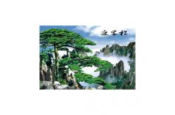 China Large Size PET 3D Lenticular Printing Poster Of Waterfall Scenery Theme supplier