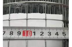 China Rolling Fence 5mm Galvanized Welded Wire Mesh For Rabbit Bird Pet Cages supplier