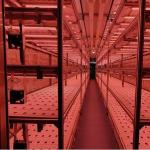 Vertical Farming Container Greenhouse In Shipping Container Design for sale