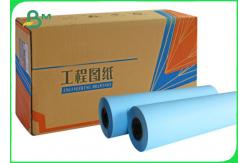 China 80gsm Double - Sided Blueprint Paper CAD Drawing Paper Rolls supplier