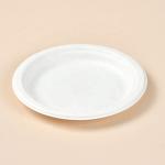 Custom Printed Compostable Smoothie Cups Sugarcane Bagasse Plate 20 Oz