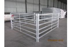 China Portable Silver 6ft X 10ft Wire Cattle Panels Weather Resistant supplier
