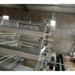 A Type H Type Automatic chicken egg  cage laying hens cage poultry farm equipment for sale