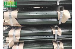China 7 Ft Metal T Bar Posts For Protective Wire Mesh Fencing supplier