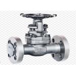 Manual Steel Gate Valve DN10-DN50 API ANSI DIN Standard for sale