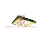 Ceiling Acrylic Transparency Passenger Elevator White Arch Light Emitting Panel