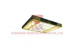 China Ceiling Acrylic Transparency Passenger Elevator White Arch Light Emitting Panel supplier