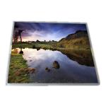 Supply 19.0 inch G190EG02 V1 LCD Industrial Screen for sale