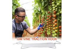 China Superior Strength 7200D 9000D Tomato Tying Twine With Plant Climbing Hooks supplier