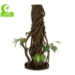 Real Touch 170cm High Artificial Ficus Tree , Silk Artificial Tree For Office