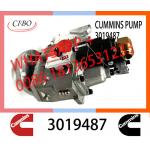 Genuine Diesel Fuel Injection Pump 2048809 3019487 3059657 For Cummins NT855