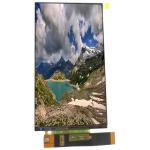 LQ055T3SX02Z(G) 5.5 inch 1080*1920 LCD Screen for sale
